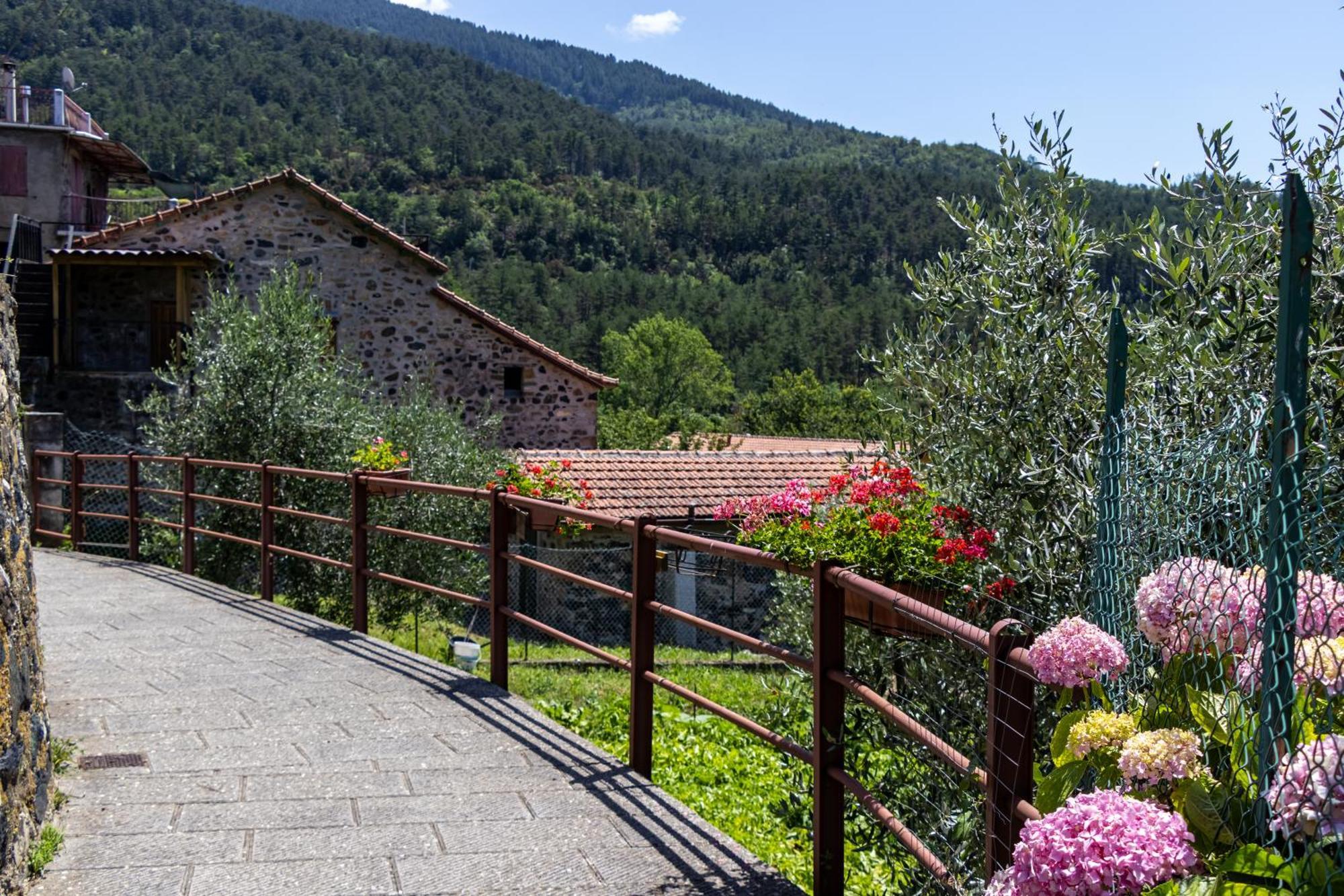 Emma'S House Villa Sasseta Exterior photo